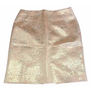 Rose Gold Skirt From H&M